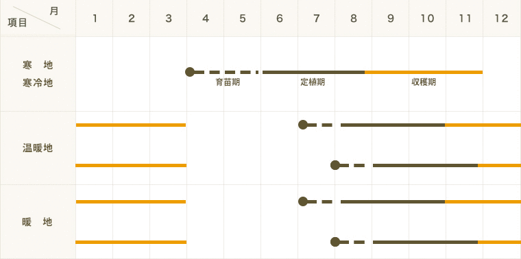 ڤƤޤġ ꥭ٥ һ  ѥå ڿ͵