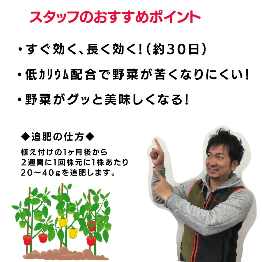 ڤƤޤͭ-ѡ ڡ̤˻Ȥͭ 900g̵