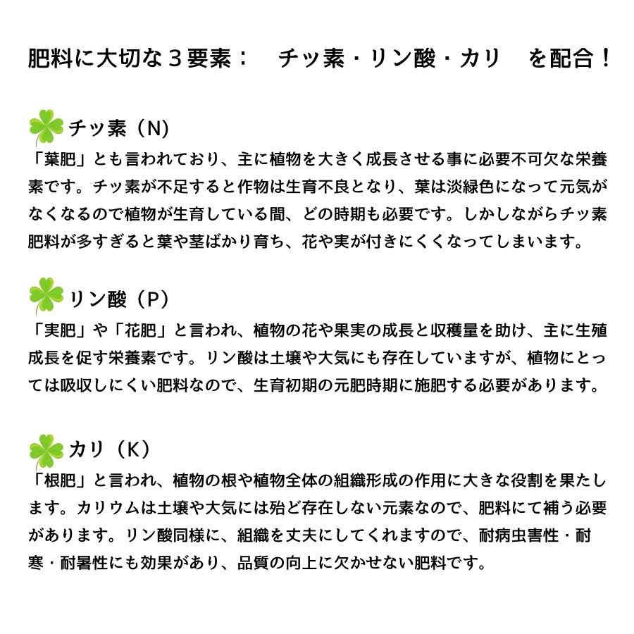 ڤƤޤͭ-ѡ ڡ̤˻Ȥͭ 900g̵