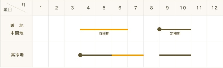 �ڤƤ��ޤ��ġۥ������ġ��ƤΤ���������cm�ݥåȡ��ڿ͵���