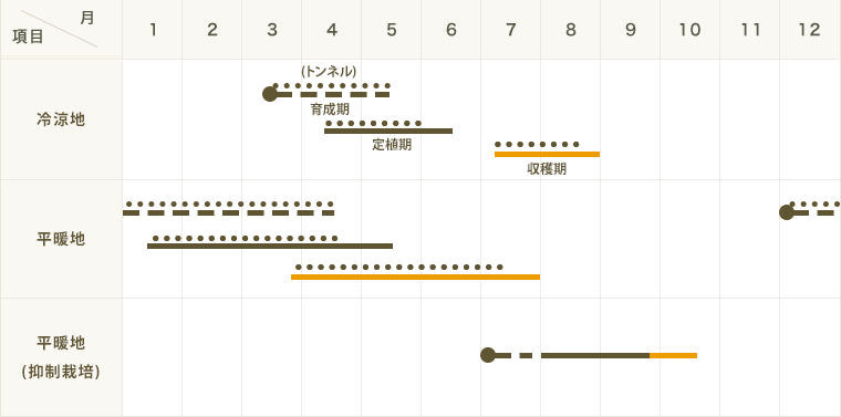 ڤƤޤġ ̥ ޡ󥸥٥ӡ Ǻ 9cmݥå     ڿ͵