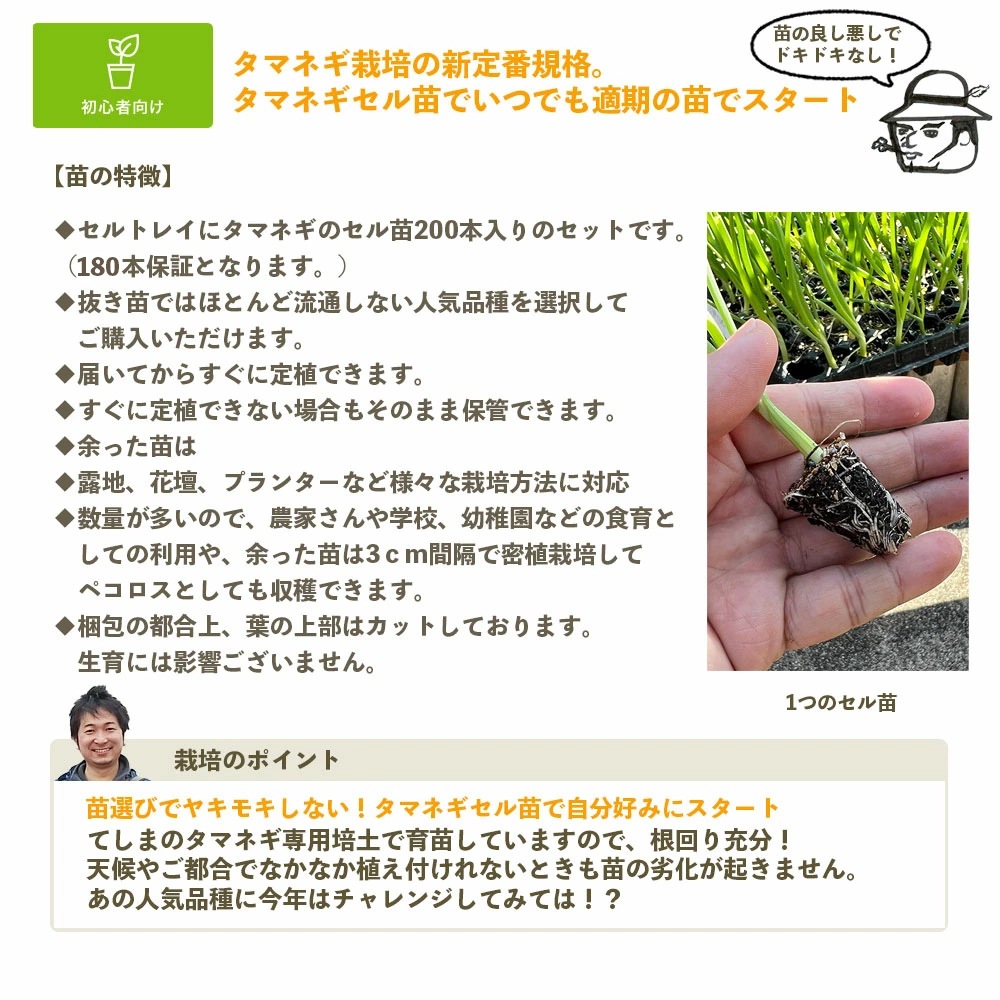 �ڤƤ��ޤ��ġ� ���ޥͥ������� 200�ꥻ���180���ݾ�� 10��������缡ȯ�� Ķ������ ���� ���� ��������¾���ʤ�Ʊ���Բ�