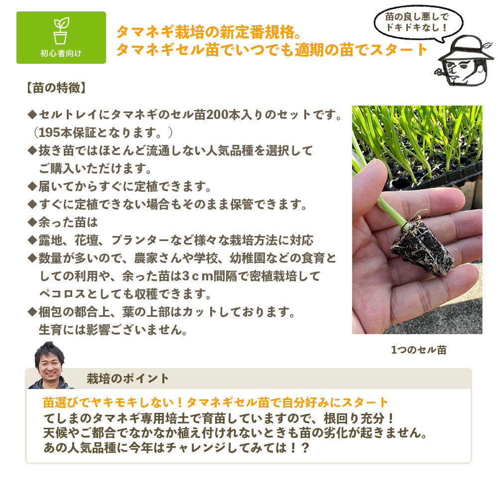 �ڤƤ��ޤ��ġ� ���ޥͥ������� 200�ꥻ���190���ݾ�� 10��������缡ȯ�� Ķ������ ���� ���� ��������¾���ʤ�Ʊ���Բ�