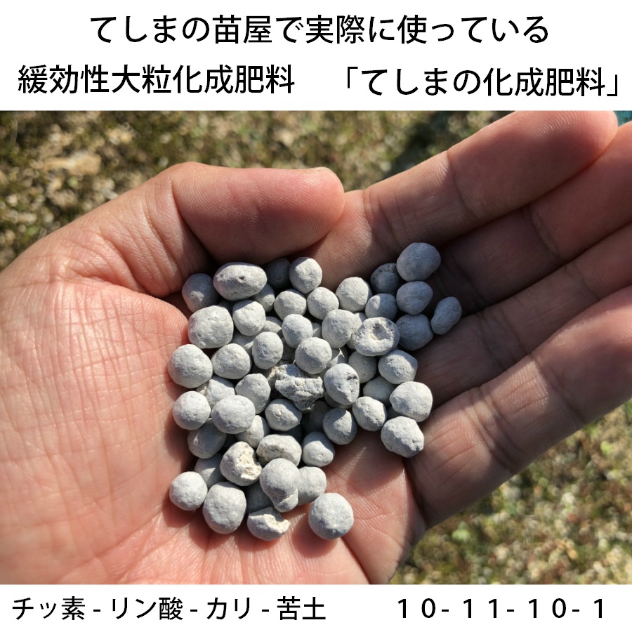 ڤƤޤβ ڡ̤˻Ȥ벽 900g̵