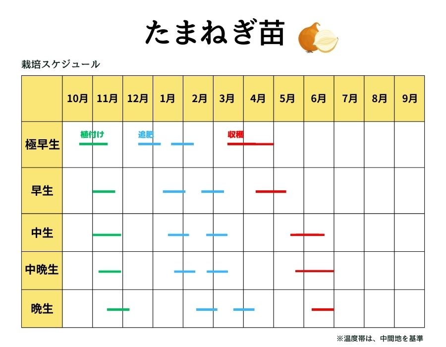 ޤͤ ȴ 20« ӡѡåסȥåץ320ΤŤ줫 ʼԲ 10ܡȯ ޥͥ