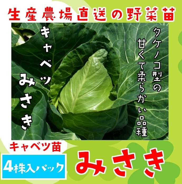 �ڤƤ��ޤ��ġ� ����٥��� �ߤ��� 4������ѥå� ����٥� �պ��� �ڿ͵���