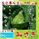 �ڤƤ��ޤ��ġ� ����٥��� �ߤ��� 4������ѥå� ����٥� �պ��� �ڿ͵���