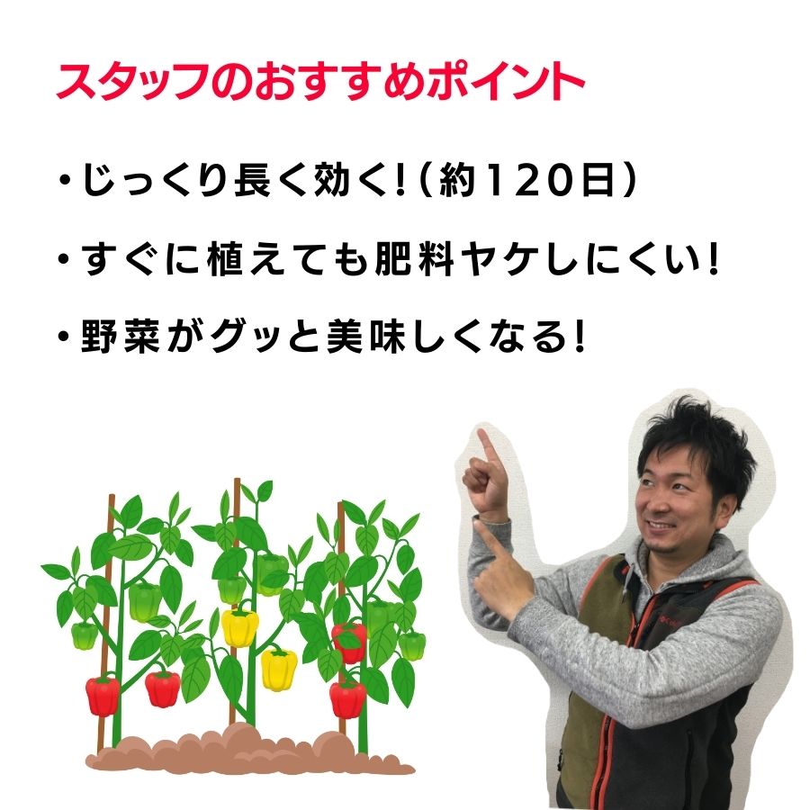 �ڤƤ��ޤ�ͭ������-�������ѡ� ��ڡ������̤˻Ȥ���ͭ������ 900g������̵����