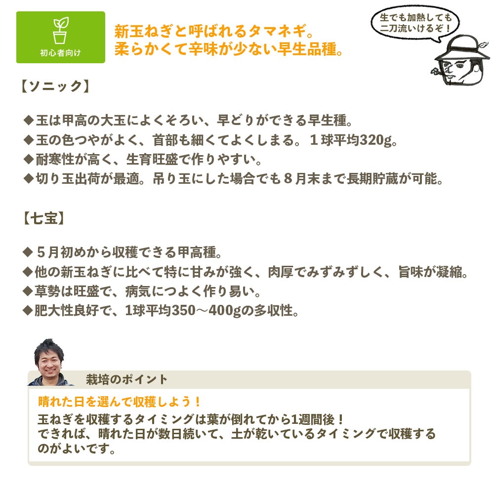 ޤͤ ȴ 20« ˥åΤŤ줫 ʼԲ 10ܡȯ ޥͥ