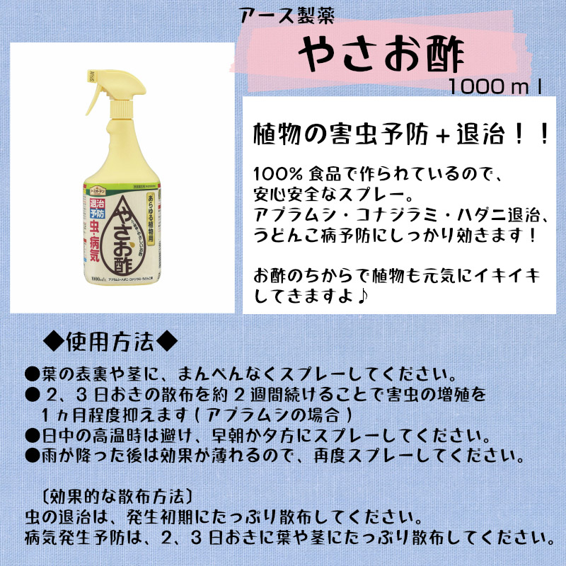 ڤƤޤġ ڻۥ䤵 1000ml  ɽ