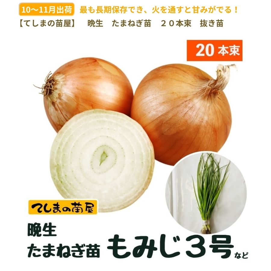 ޤͤ ȴ 20« ߤ3 ʼԲ 10ܡȯ ޥͥ