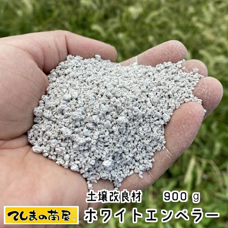 ھɺ ۥ磻ȥڥ顼 900g Բ ̵ۡڥ᡼б