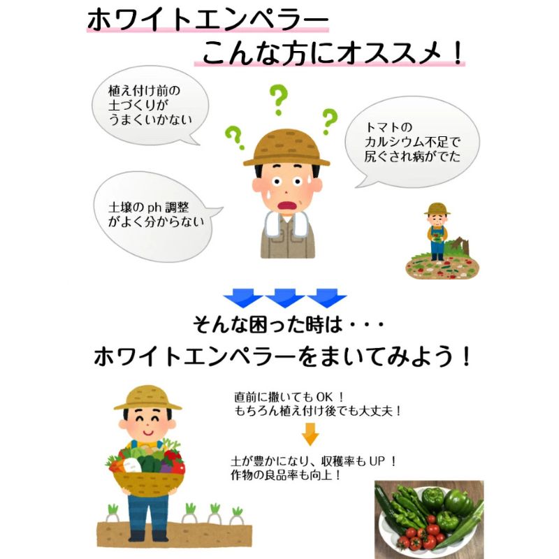 ھɺ ۥ磻ȥڥ顼 900g Բ ̵ۡڥ᡼б