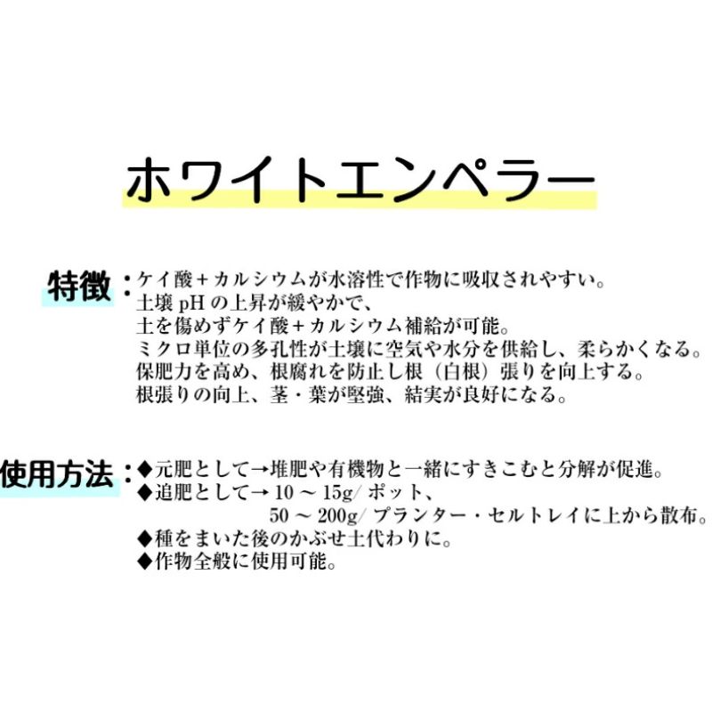 ھɺ ۥ磻ȥڥ顼 900g Բ ̵ۡڥ᡼б