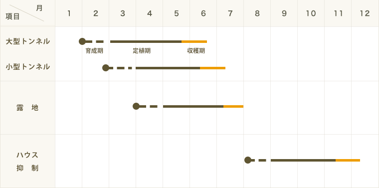 �ڤƤ��ޤ��ġ� ���ܥ����� ����ޤ��� ������ 9cm�ݥå� ����� ���� �� ���� �ڿ͵���