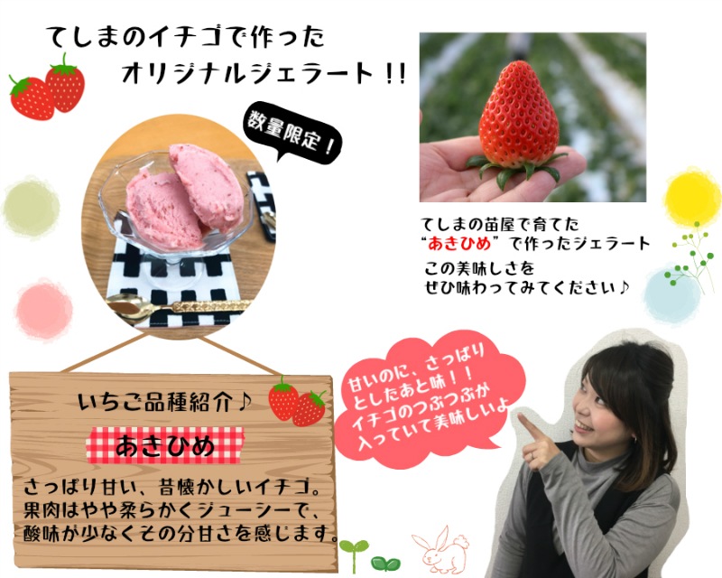 �ڤƤ��ޤΥ������� �������Υ����顼�� 2�̡������Ҥᡡ������