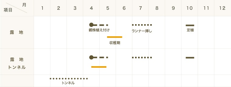 �ڤƤ��ޤ��ġ� �����ۤΤ� 6-9cm�ݥå� �������ġ��պ��ġ�