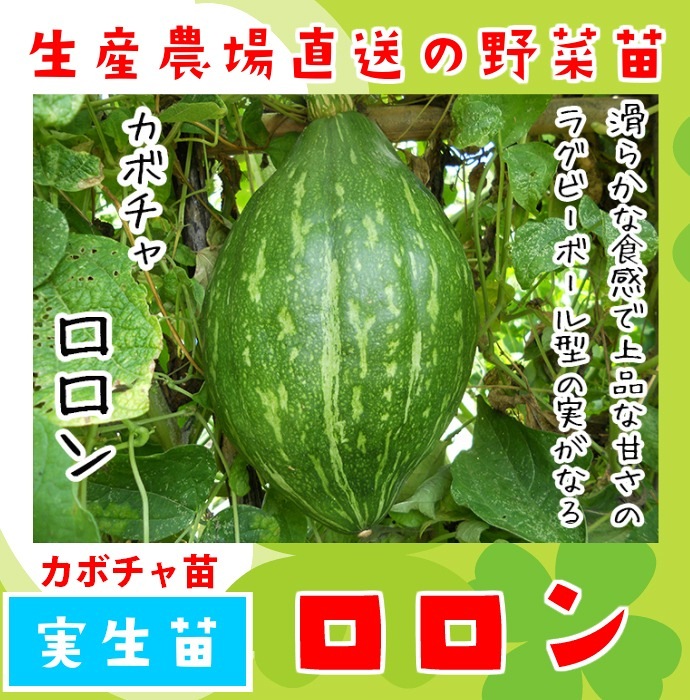 �ڤƤ��ޤ��ġ� ���ܥ����� ������ ������ 9cm�ݥå� �ڿ͵���