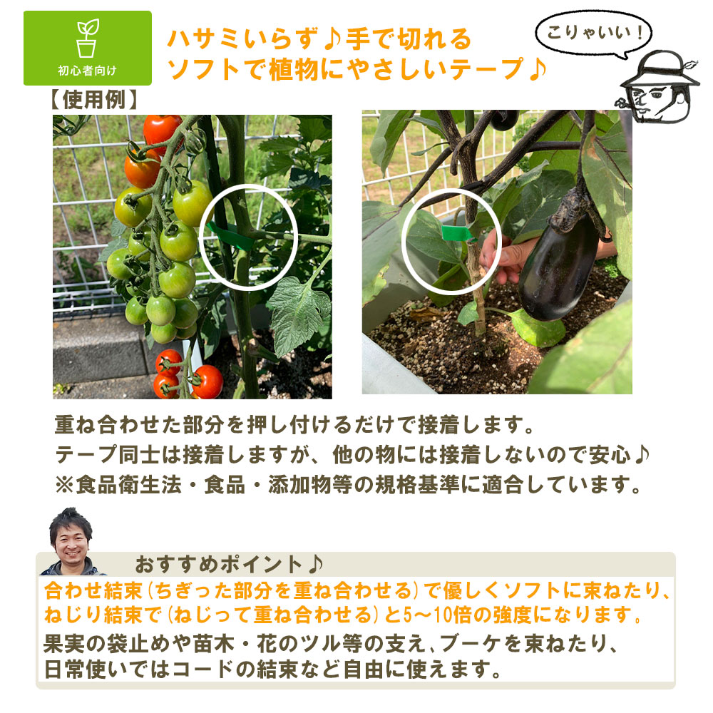 ڤƤޤĲ ۡڻ۱ݥơ 20mm10M ᡼̵