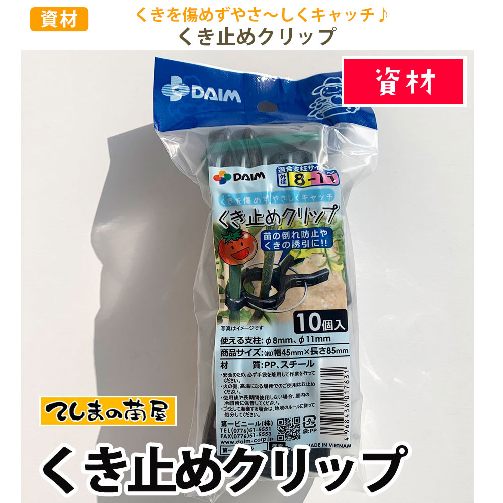 �ڤƤ��ޤ��Ĳ��ۡڻ��ۤ����ߤ᥯��å� 10������