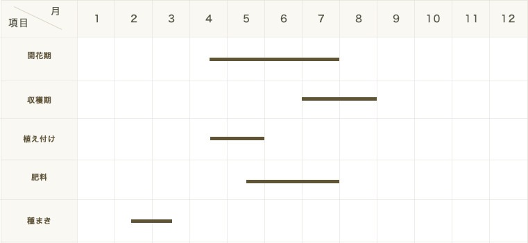 ڤƤޤġ̥ȥޥġ륬ƥΡ9ݥå Ǻ