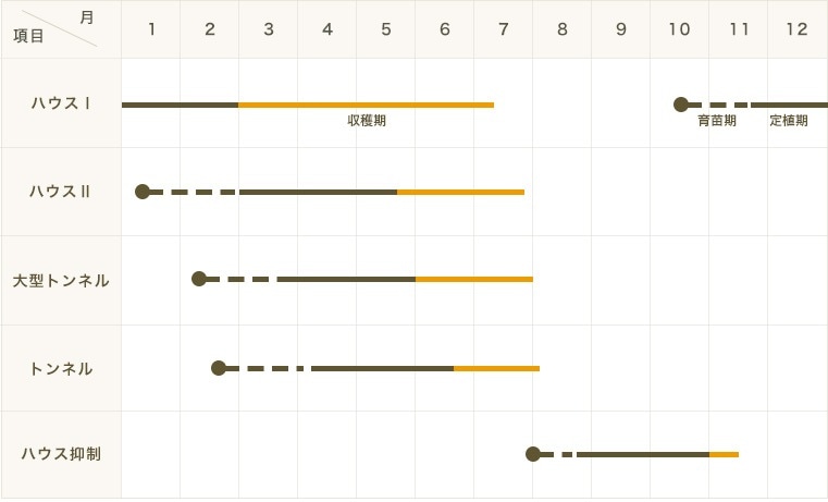 �ڤƤ��ޤ��ġ۾��̥������ġ���̼�����顡9����ݥåȡ��Ǻ�������