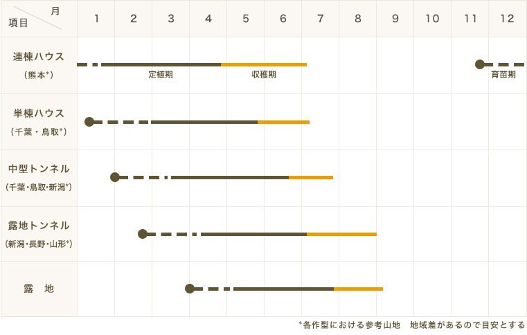 ڤƤޤġ̥ġԥΥǥ9ݥåȡǺ