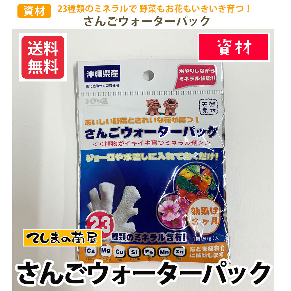 �ڤƤ��ޤ��Ĳ��ۡڻ��ۡ����󤴥����������ѥå������᡼��������̵��