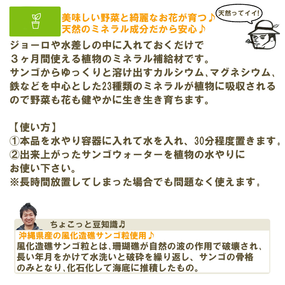 �ڤƤ��ޤ��Ĳ��ۡڻ��ۡ����󤴥����������ѥå������᡼��������̵��