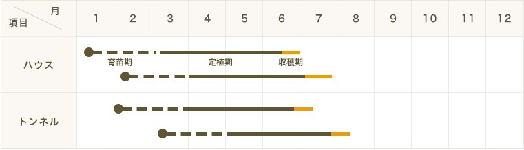 �ڤƤ��ޤ��ġۼ�ʤ���̥������ġ��ۤ����졡9����ݥåȡ��Ǻ�������