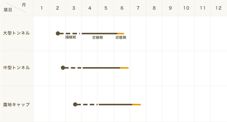 �ڤƤ��ޤ��ġ���̥������� ������  9����ݥå� �Ǻ�������