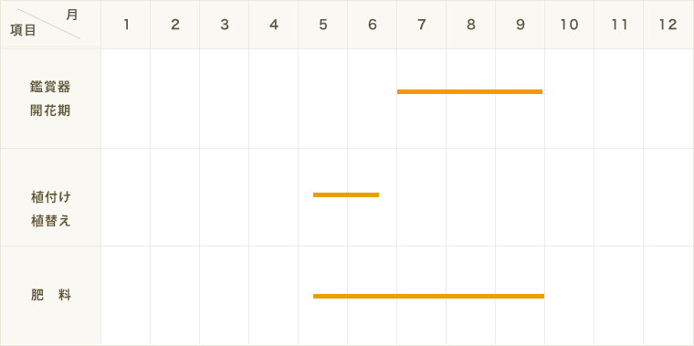 ����������ľ���۲��ġ��ե����󥫥��顡�����ġ����꡼�󥫡��ƥ�9cm�ݥåȡڿ͵���