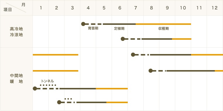 �ڤƤ��ޤ��ġ� �������� �������ܥ��ͥ����ե���ĥ���4������ѥå�