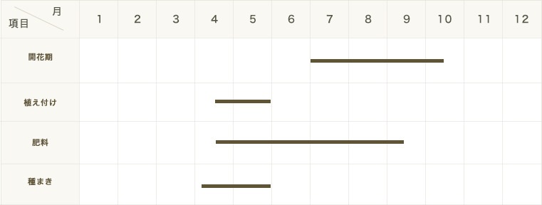 �ڤƤ��ޤ��ġ� ���ġ����쥪�ᡡ���ѡ����顼2.0���꡼����9����ݥå�