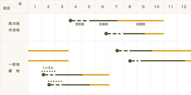 �ڤƤ��ޤ��ġۥ������ġ����꡼�Υ�������å���4������ѥå����պ��ġ� �ڿ͵���