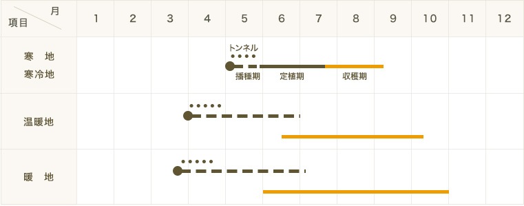 ڤƤޤġۥġӥǤ9ݥåȡ