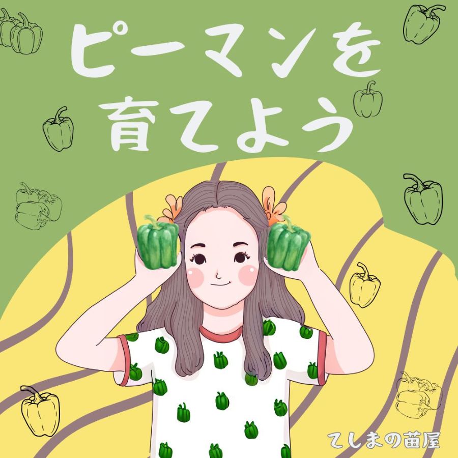 ڤƤޤġۥԡޥݥåȡ̵̳ƻ900߲ûˡǺġڱࡡ 鿴Ԥˤ⥪ᡪ