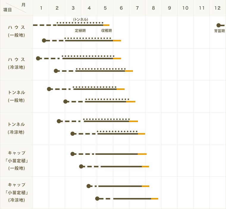 �ڤƤ��ޤ��ġ�  ��̥����� ���� �Ǻ������� 9cm�ݥå� ����� ���� �� ���� �ڿ͵���