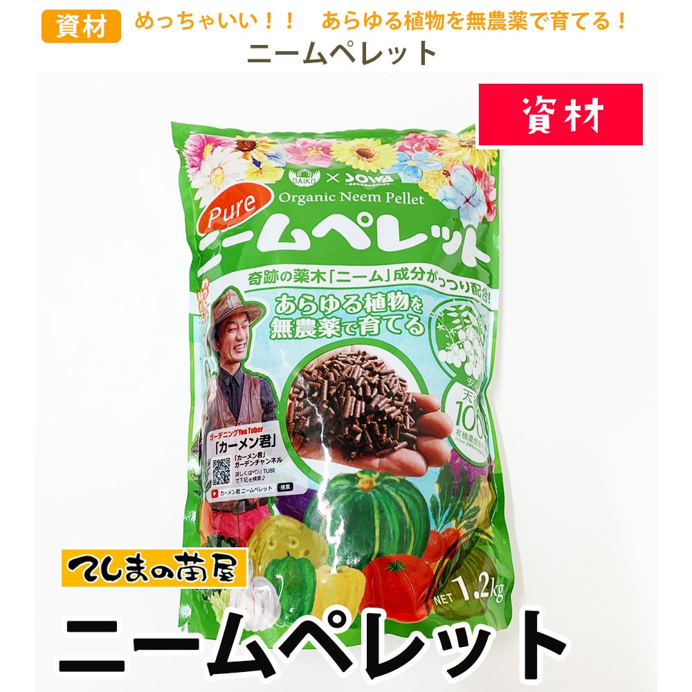 �ڤƤ��ޤ��Ĳ� �ۡڻ��� �ˡ���ڥ�åȡ�1.2kg