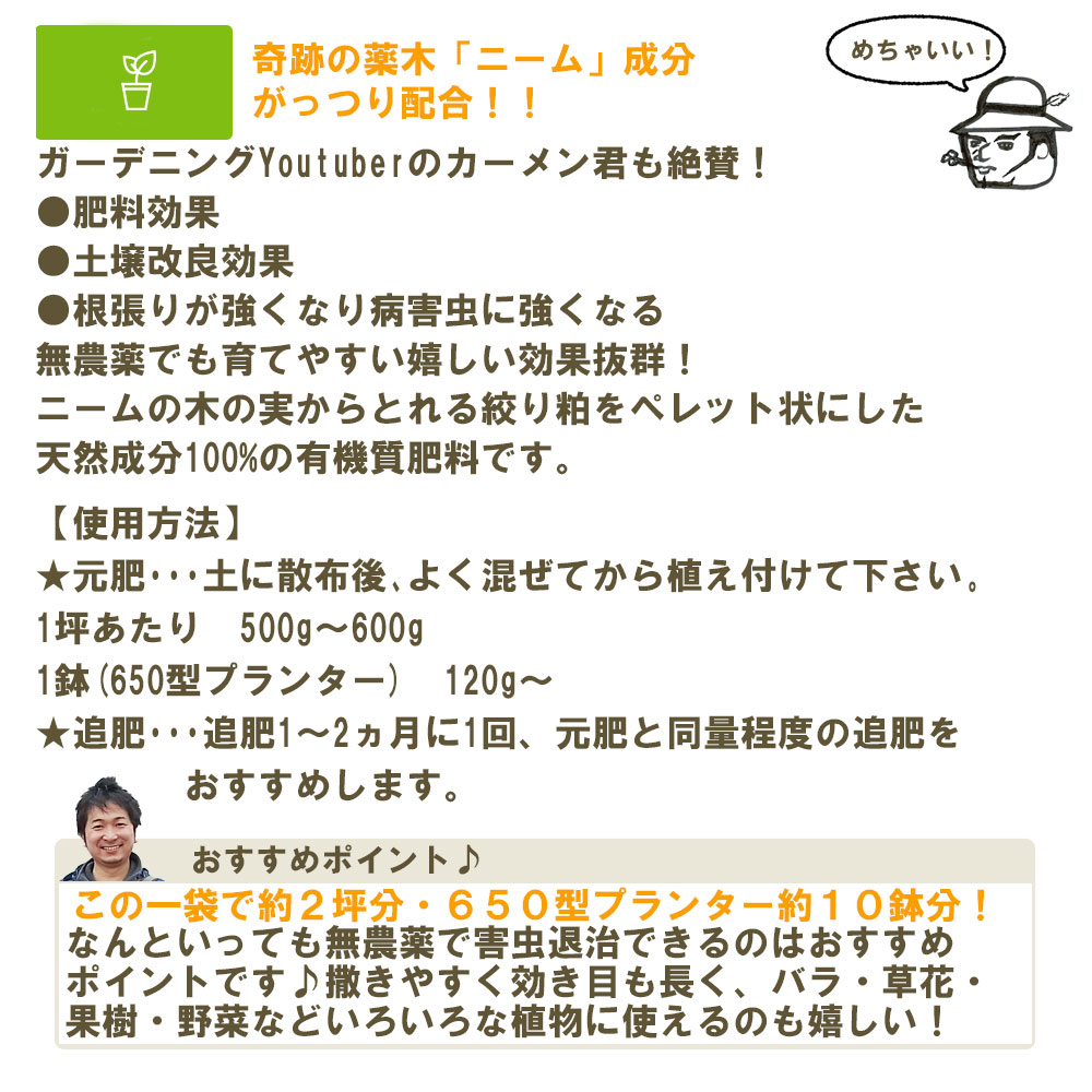 �ڤƤ��ޤ��Ĳ� �ۡڻ��� �ˡ���ڥ�åȡ�1.2kg