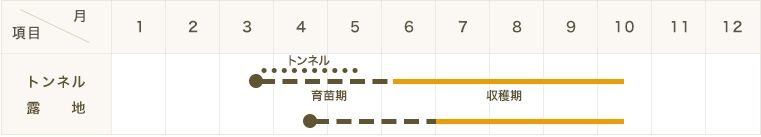 ڤƤޤġۥġ٥ˡ9ݥåȡ