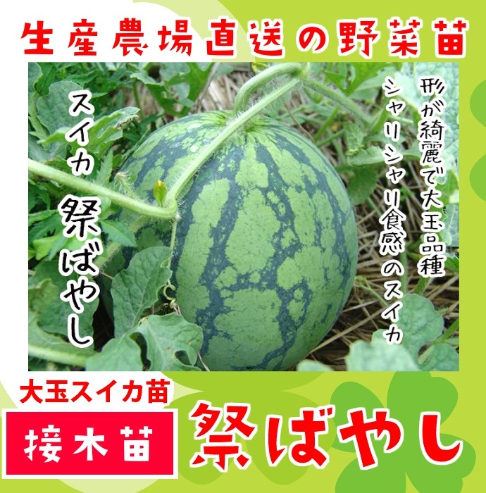 ڤƤޤġ ̥ פФ䤷777 Ǻ 9cmݥå     ڿ͵