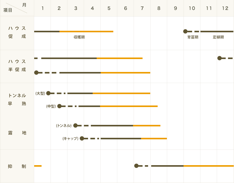 ڤƤޤġ ̥ פФ䤷777 Ǻ 9cmݥå     ڿ͵