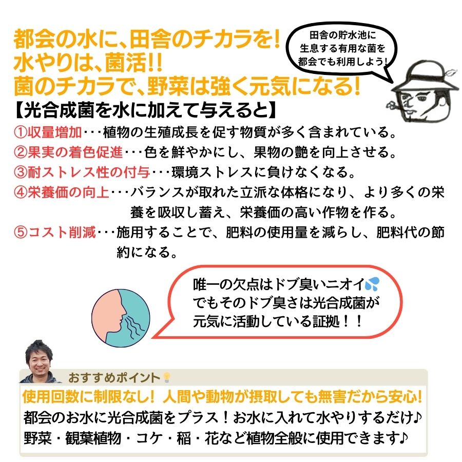 �ڤƤ��ޤλ�� �� �Ƥ��ޤθ������ݡ�����1L������ѡ����ѡ���ʪ�����Ѣ��������Ϥ��ܤ�䤹���ΤǤ����դ���������