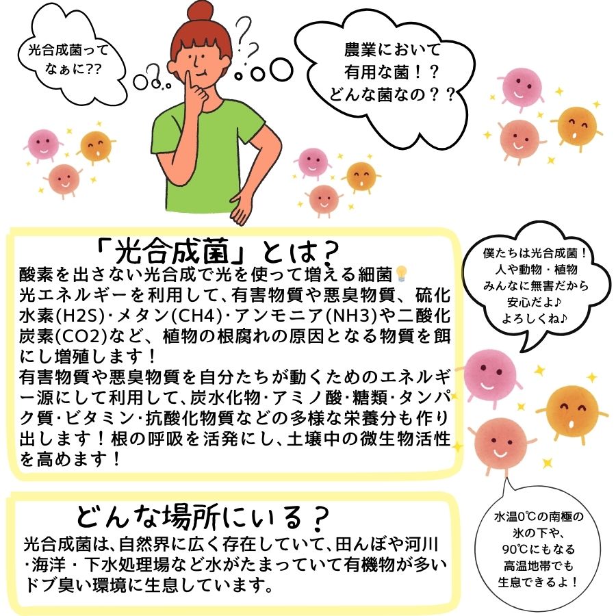 �ڤƤ��ޤλ�� �� �Ƥ��ޤθ������ݡ�����1L������ѡ����ѡ���ʪ�����Ѣ��������Ϥ��ܤ�䤹���ΤǤ����դ���������