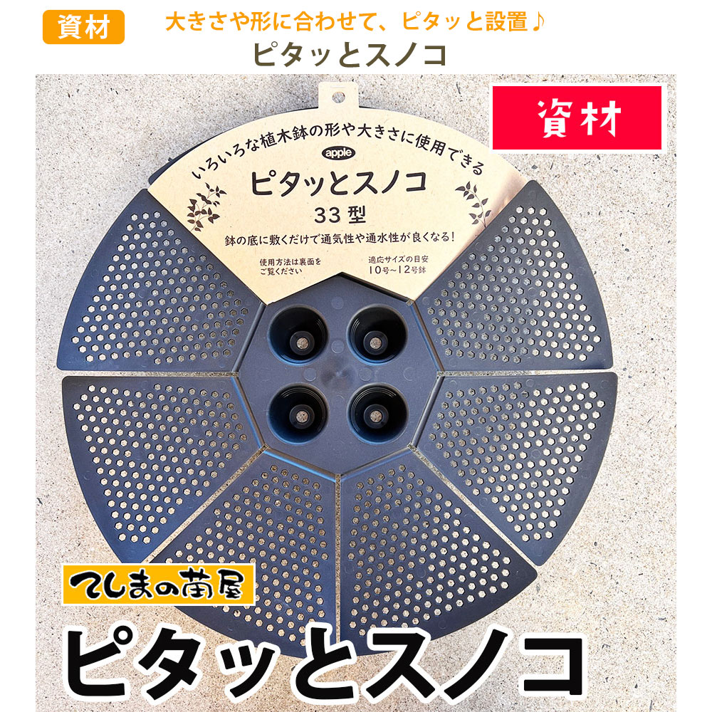 ڤƤޤĲ ۡڻۡԥäȥΥ33