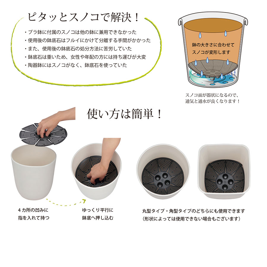 ڤƤޤĲ ۡڻۡԥäȥΥ33