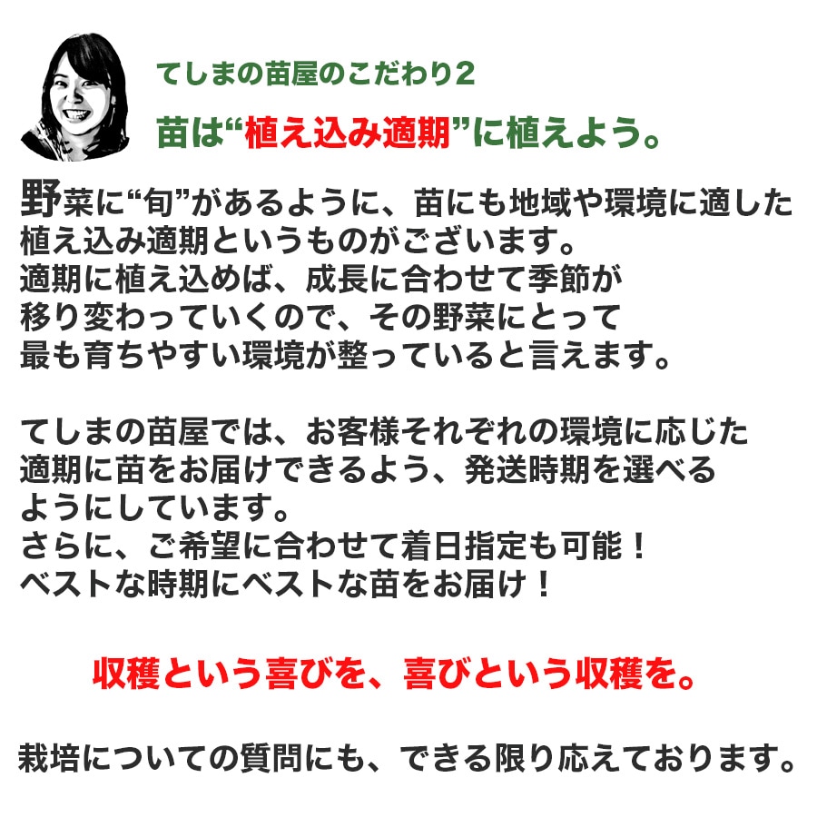 てしまの苗 沖縄中長ゴーヤ 断根接木苗 9cmポット 野菜苗 培土 種 堆肥 人気 てしまの野菜苗 果菜類の苗 ゴーヤ てしまの苗屋 本店