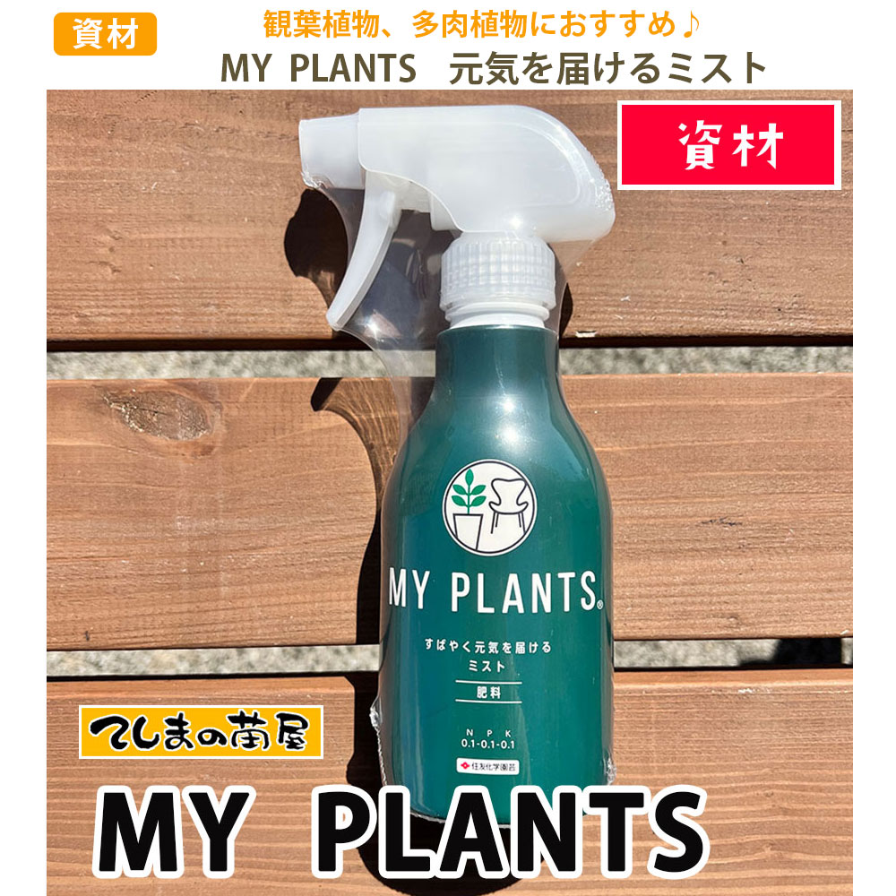 �ڤƤ��ޤ��Ĳ� �ۡڻ��� MY PLANTS���ޥ��ץ��ġ� ���Ф䤯�������Ϥ���ߥ��ȡ�250ml