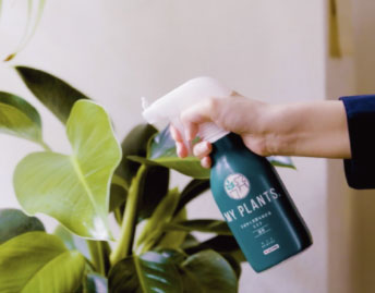 �ڤƤ��ޤ��Ĳ� �ۡڻ��� MY PLANTS���ޥ��ץ��ġ� ���Ф䤯�������Ϥ���ߥ��ȡ�250ml